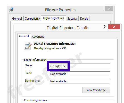 Screenshot of the Google Inc certificate